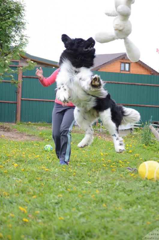 Фотография № 227183