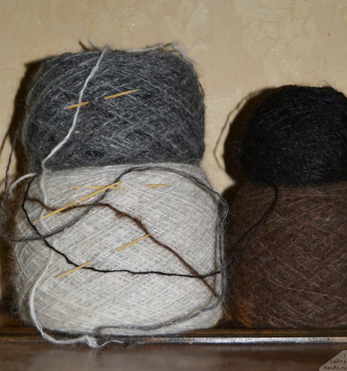 Фотография № 227185