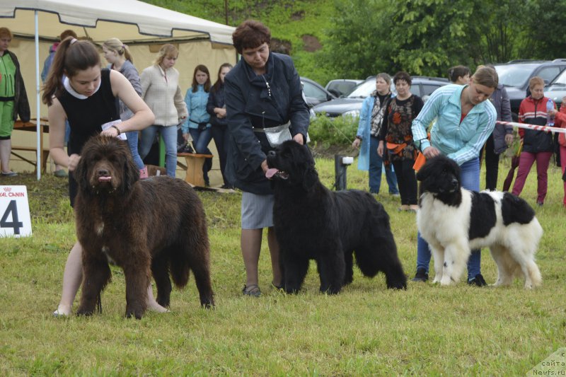 Фотография № 227200