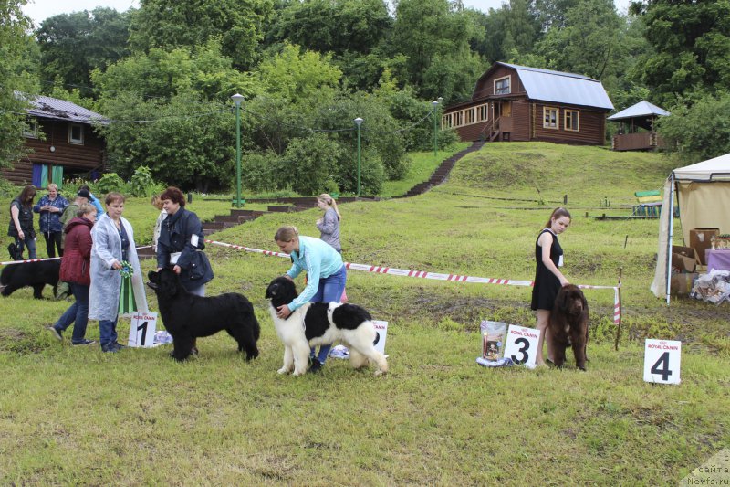 Фотография № 227201