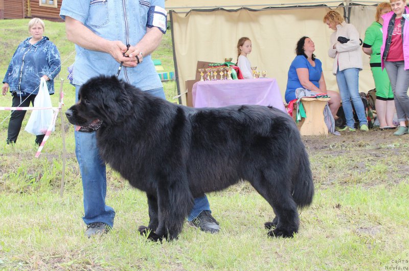 Фотография № 227203