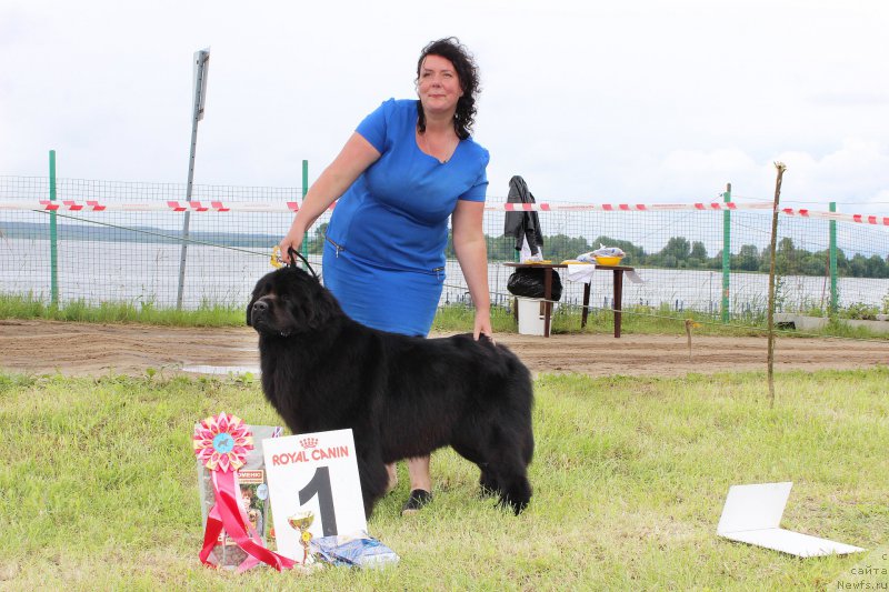 Фотография № 227204