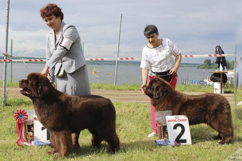 Фотография № 227209