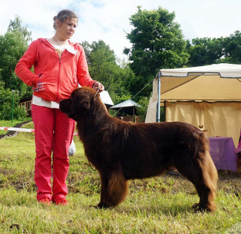 Фотография № 227210