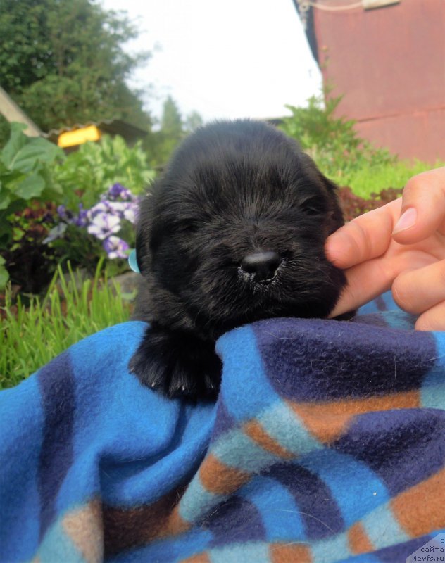 Фотография № 227212