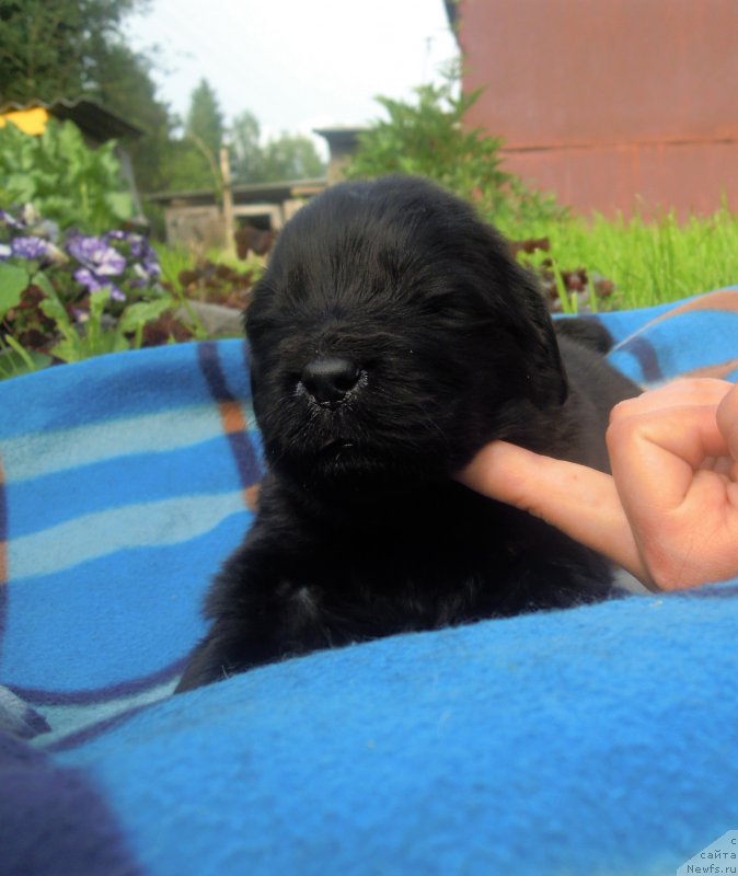 Фотография № 227214