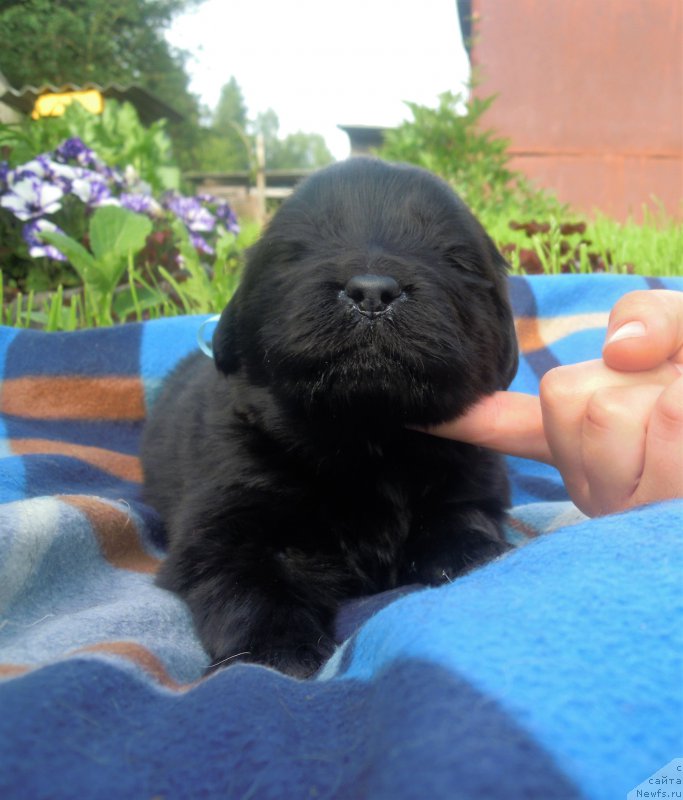 Фотография № 227215