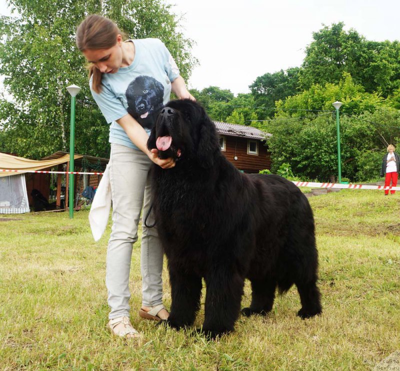 Фотография № 227216