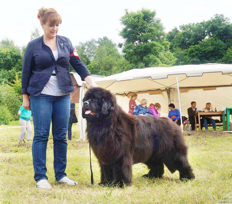 Фотография № 227220