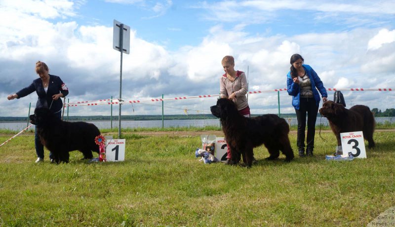 Фотография № 227222