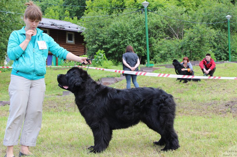 Фотография № 227223