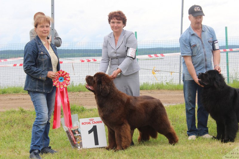 Фотография № 227228