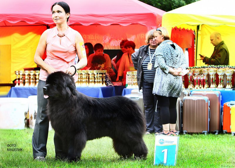 Фотография № 227267