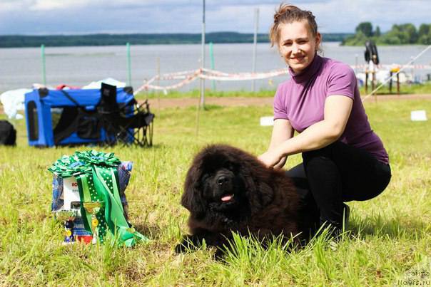 Фотография № 227277