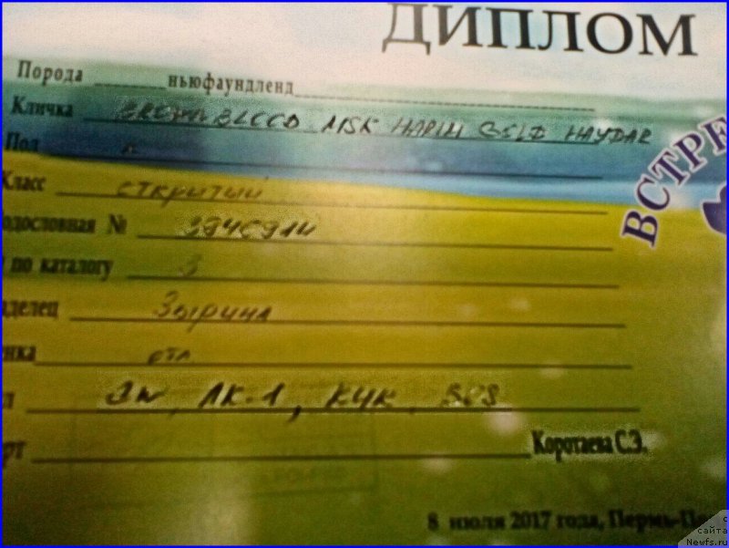 Фотография № 227278