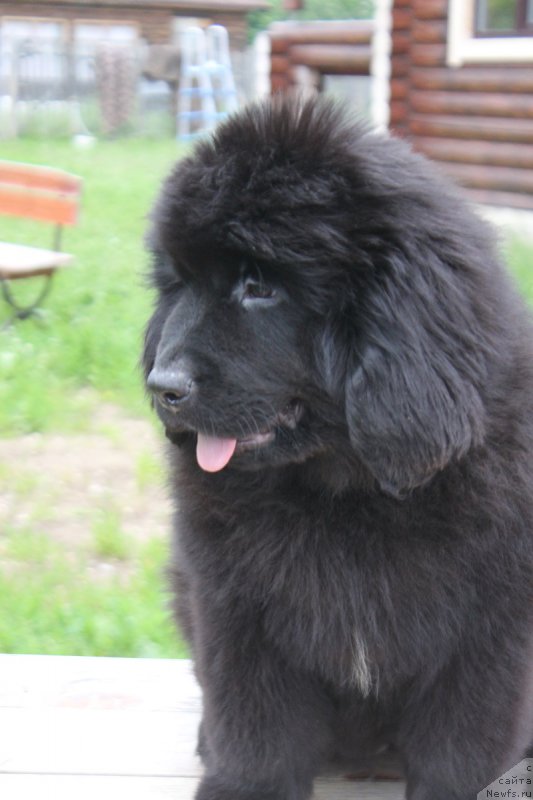 Фотография № 227327