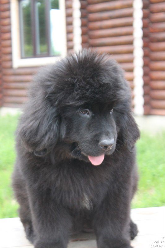 Фотография № 227328