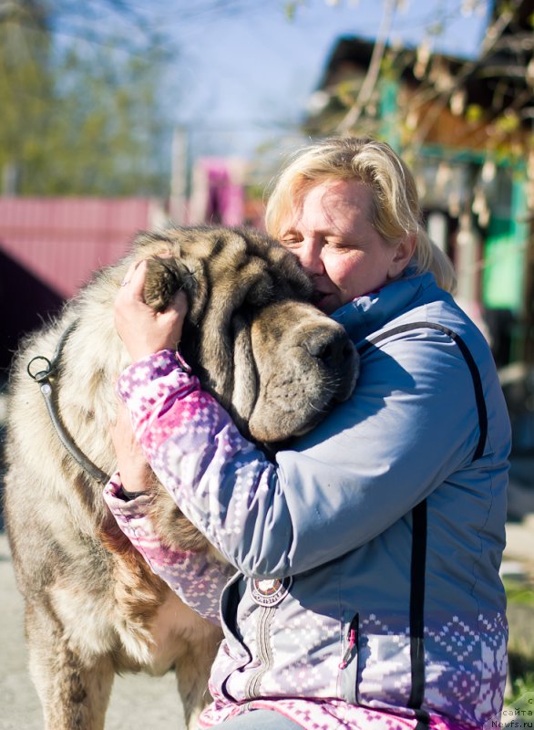 Фотография № 227384