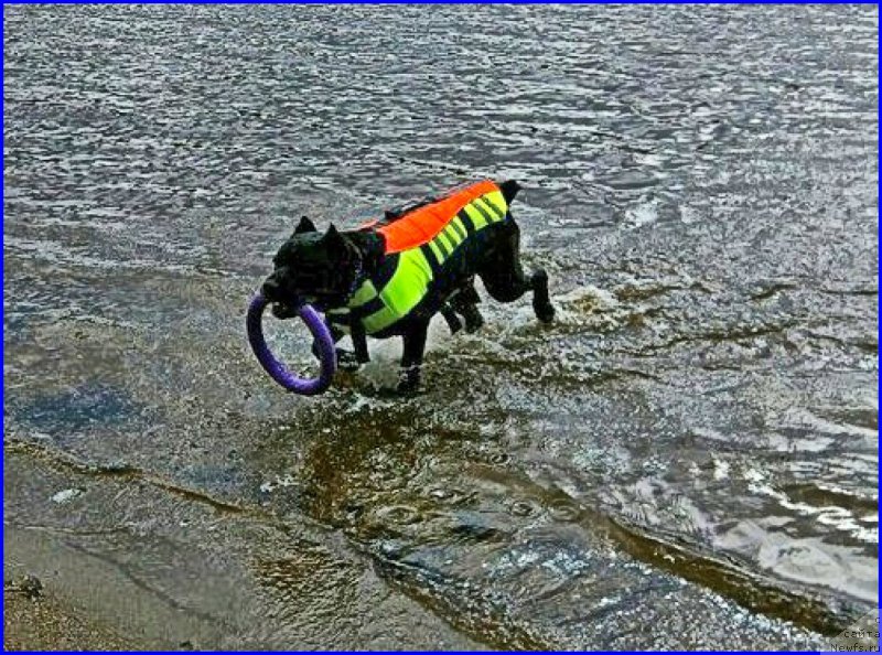 Фотография № 227385