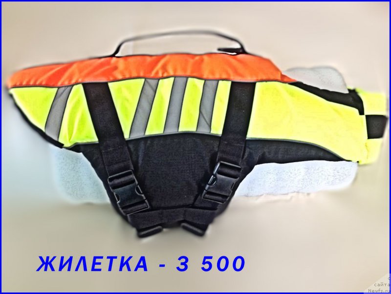 Фотография № 227387