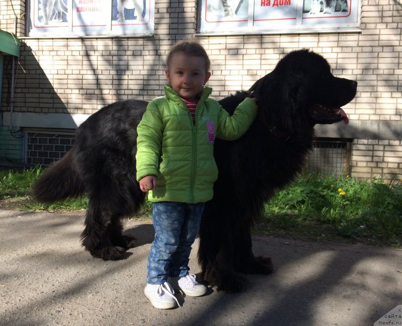 Фотография № 227397