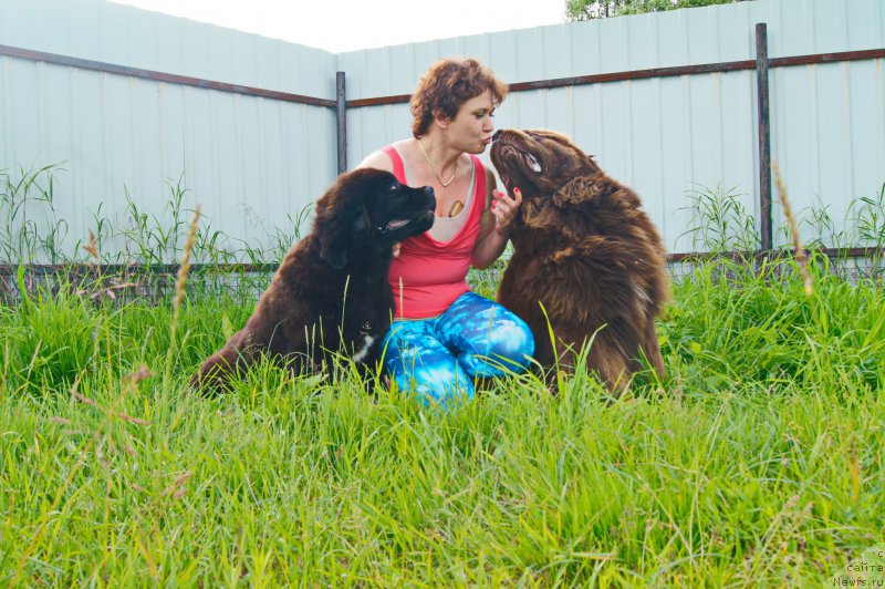 Фото: ньюфаундленд Esaul s Berega Dona (Есаул с Берега Дона), ньюфаундленд Darkflight Ioshi (Даркфлайт Иоши)