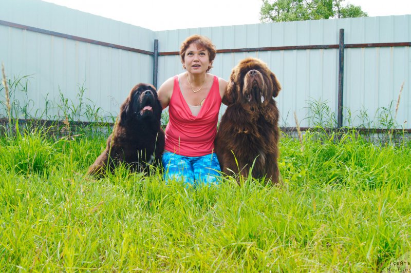 Фото: ньюфаундленд Esaul s Berega Dona (Есаул с Берега Дона), ньюфаундленд Darkflight Ioshi (Даркфлайт Иоши)