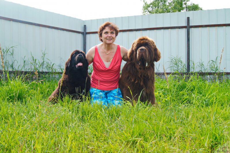 Фото: ньюфаундленд Esaul s Berega Dona (Есаул с Берега Дона), ньюфаундленд Darkflight Ioshi (Даркфлайт Иоши)