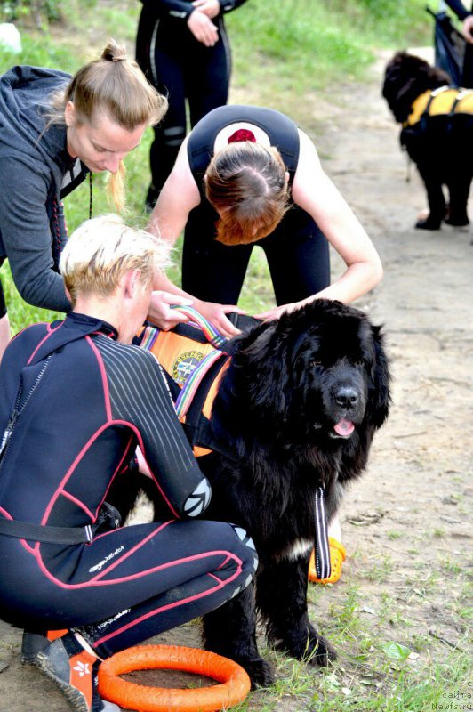 Фотография № 227427