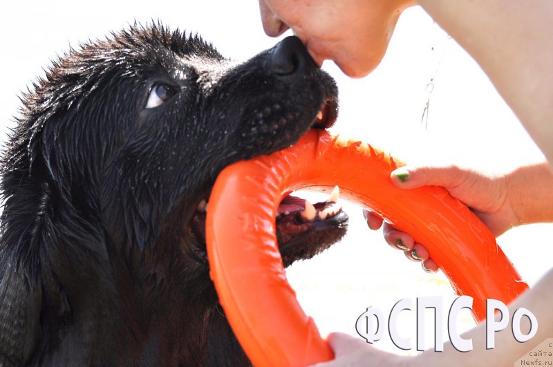 Фотография № 227429