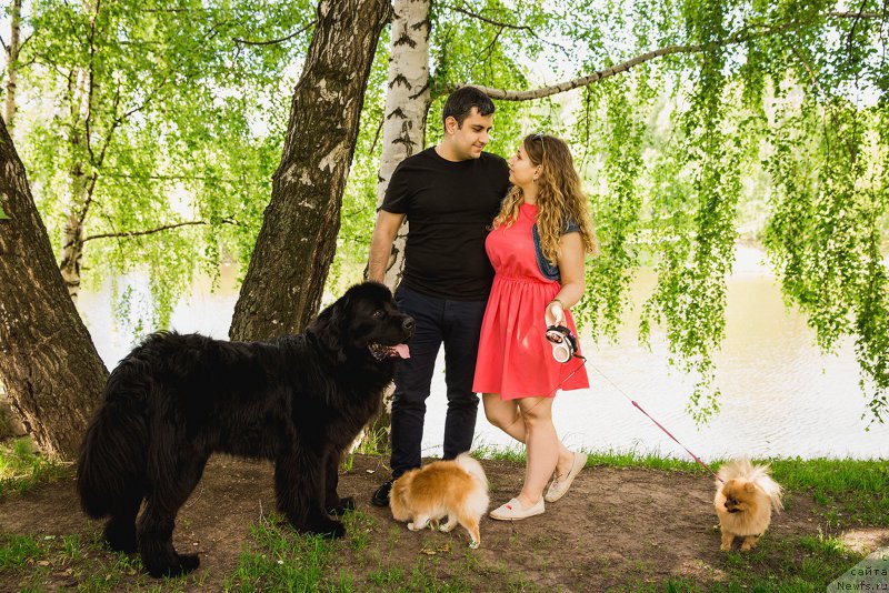 Фотография № 227456