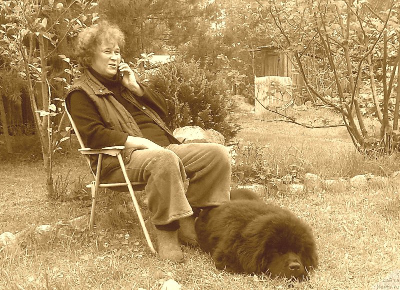 Фотография № 227467