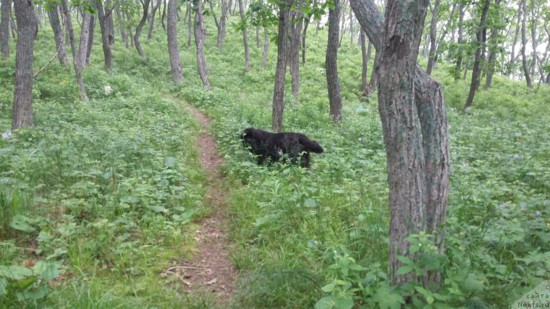 Фотография № 227515