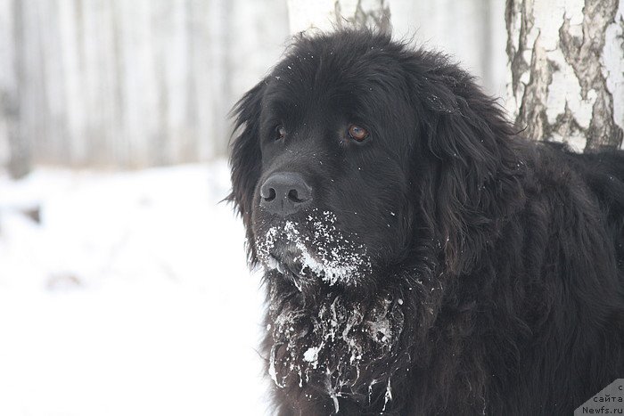 Фотография № 227528