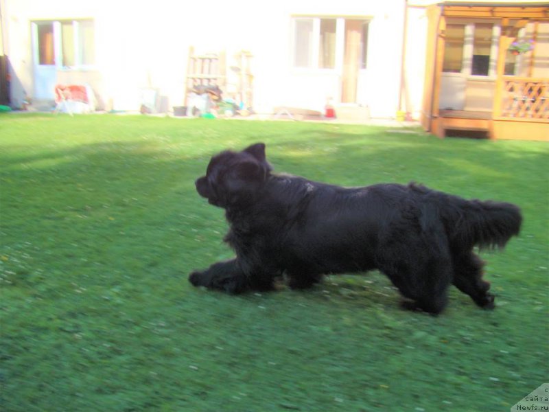 Фотография № 227530