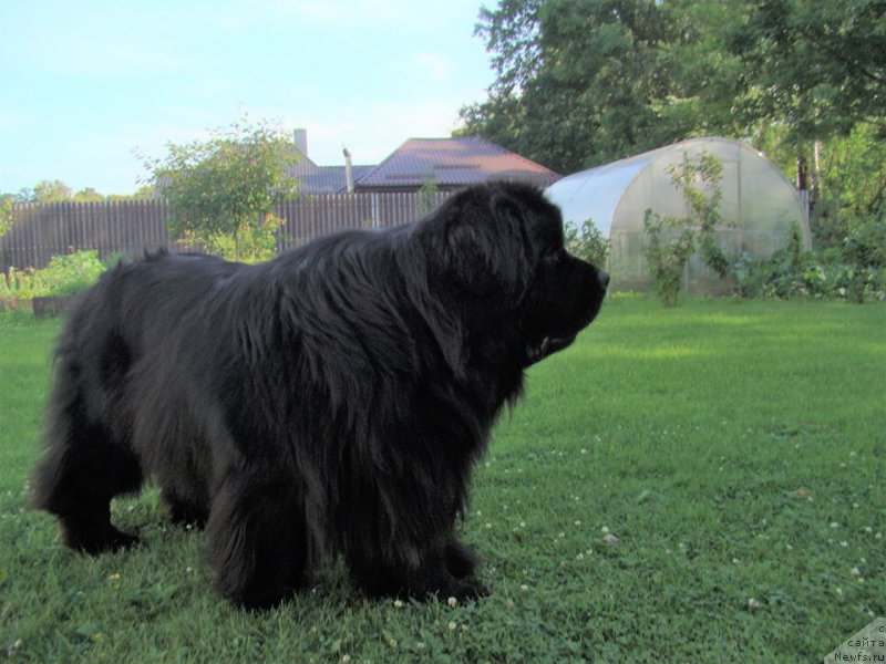 Фотография № 227534