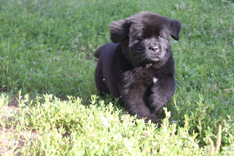 Фотография № 227563