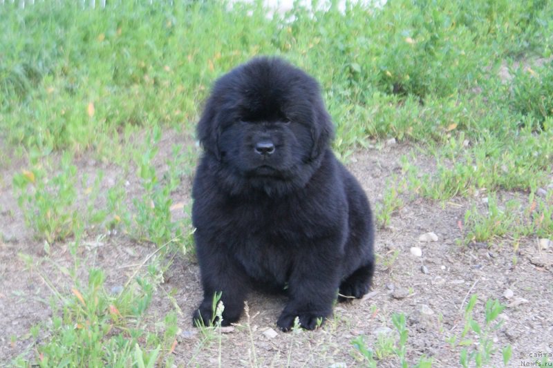 Фотография № 227565