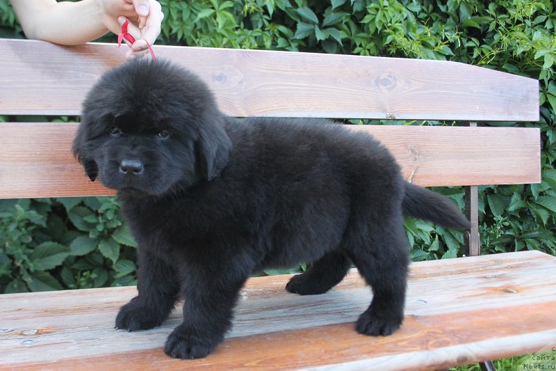 Фотография № 227567