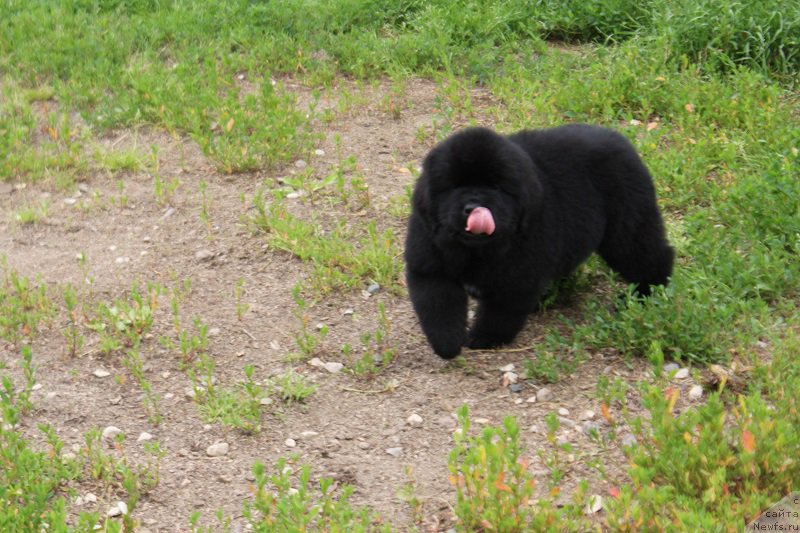 Фотография № 227577