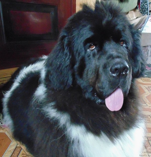 Фотография № 227587