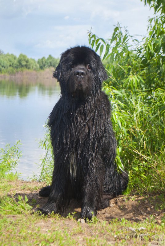 Фотография № 227613