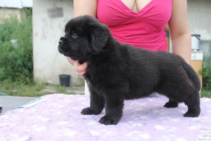 Фото: Valeriya Rakuta (Валерия Ракута)