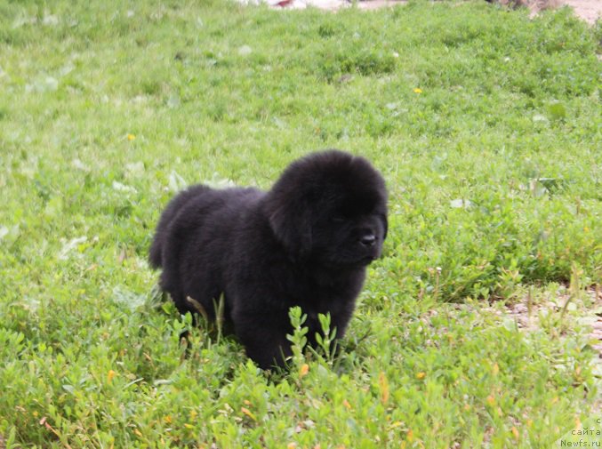 Фотография № 227637