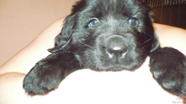 Фото: Агуша