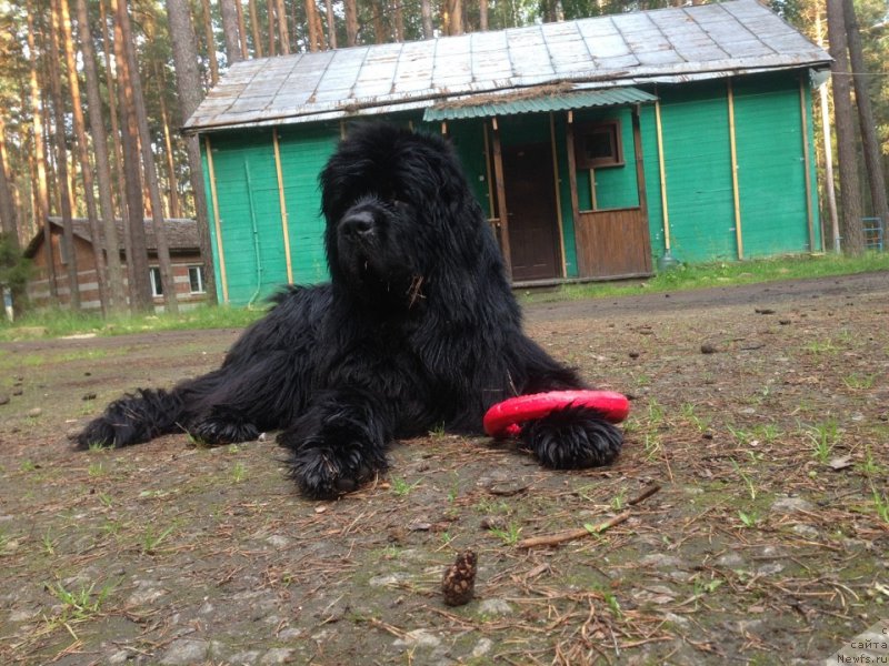 Фотография № 227663