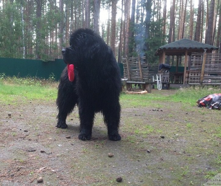 Фотография № 227664