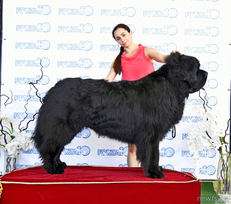 Фото: Закрыли титул Чемпион Казахстана