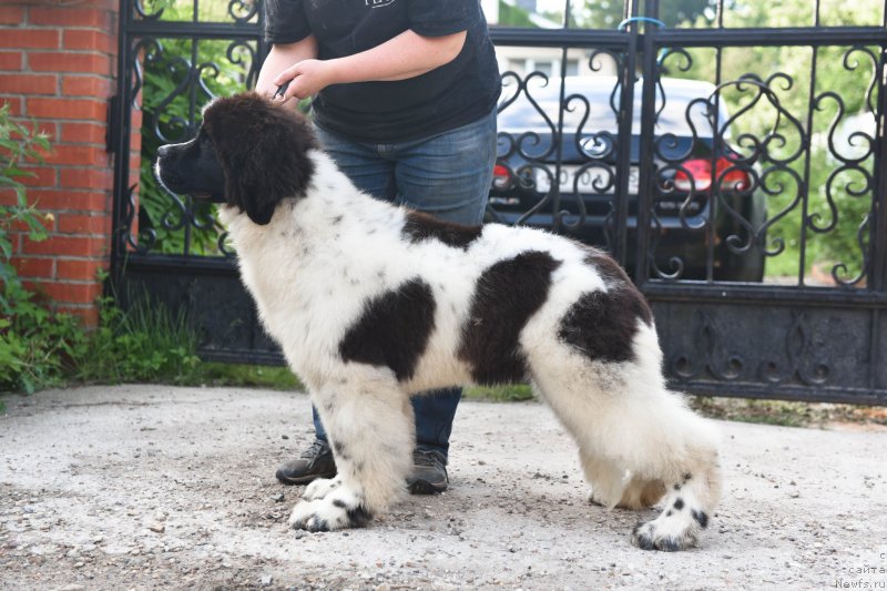 Фотография № 227716