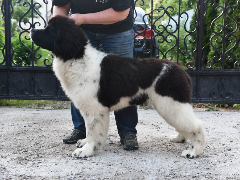 Фотография № 227718